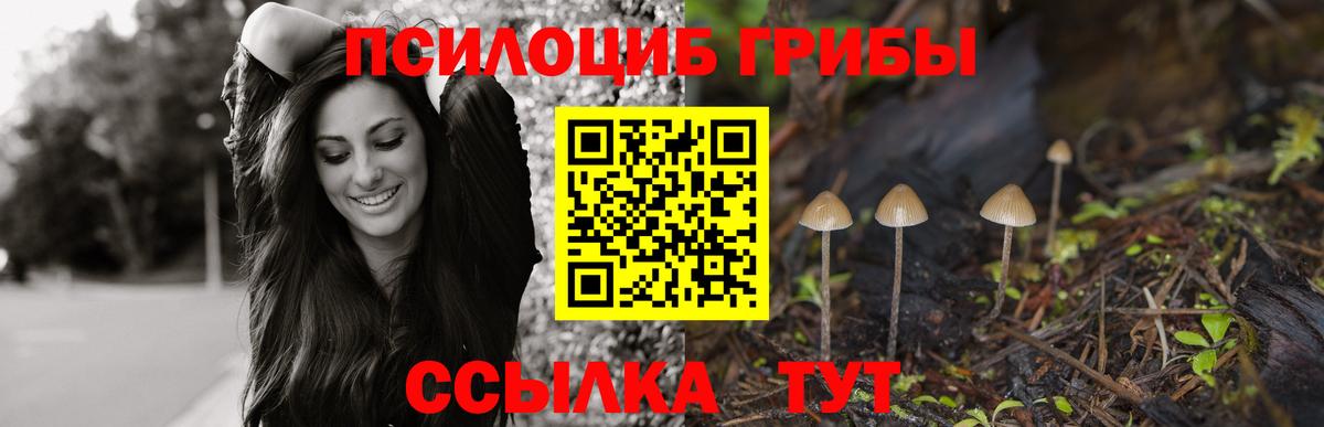 Галлюциногенные грибы прущие грибы Добрянка