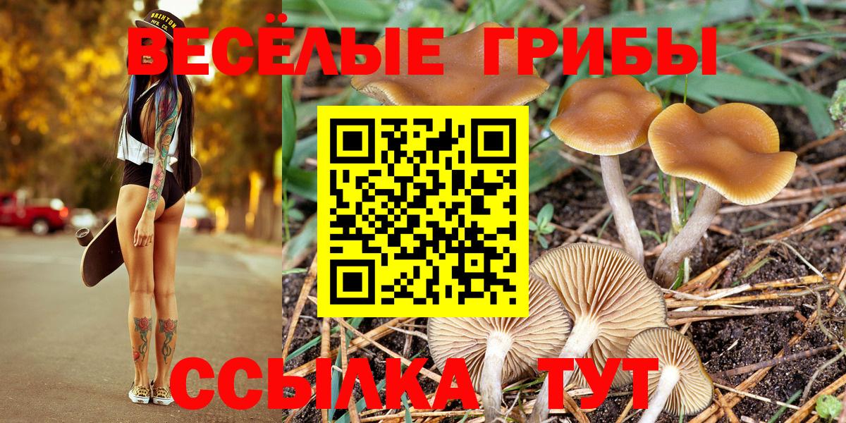 Галлюциногенные грибы Psilocybe  Вход с VPN  Добрянка 